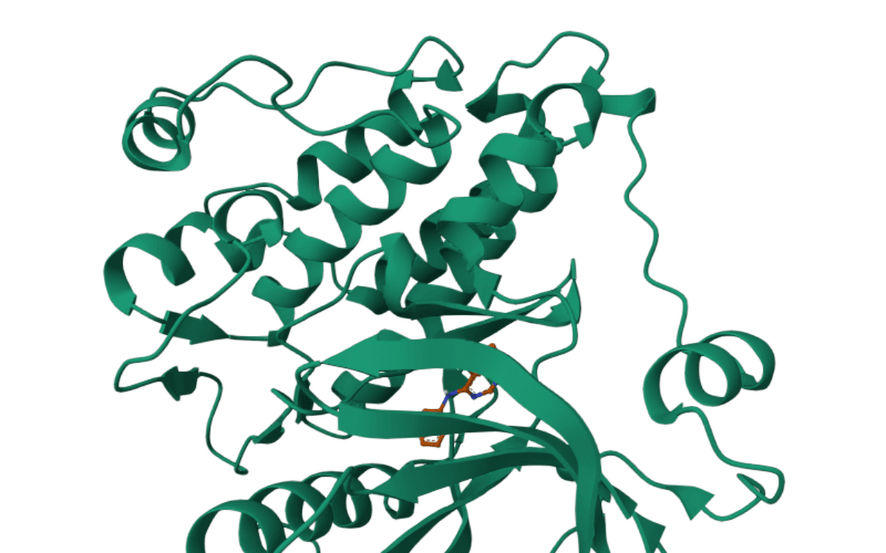 EGFR: predicted activity and why
