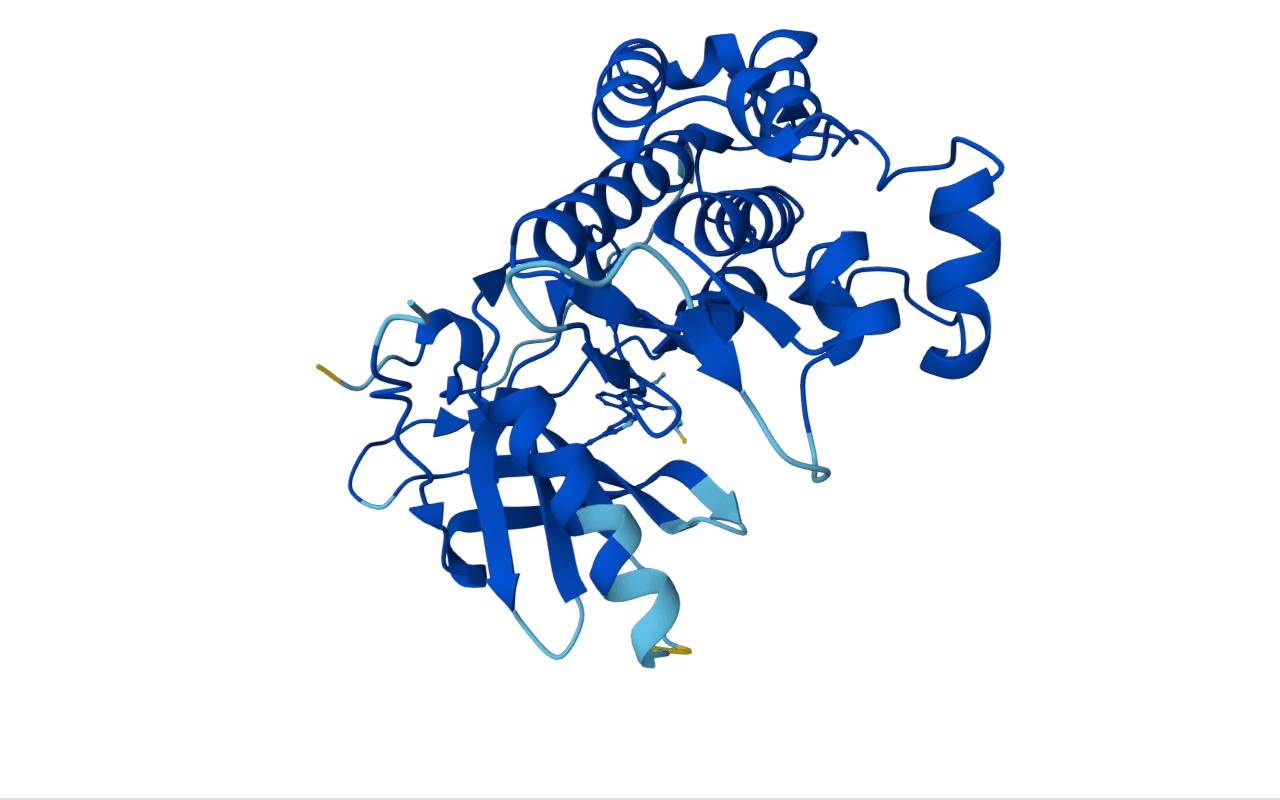 Cofolding erlotinib with EGFR