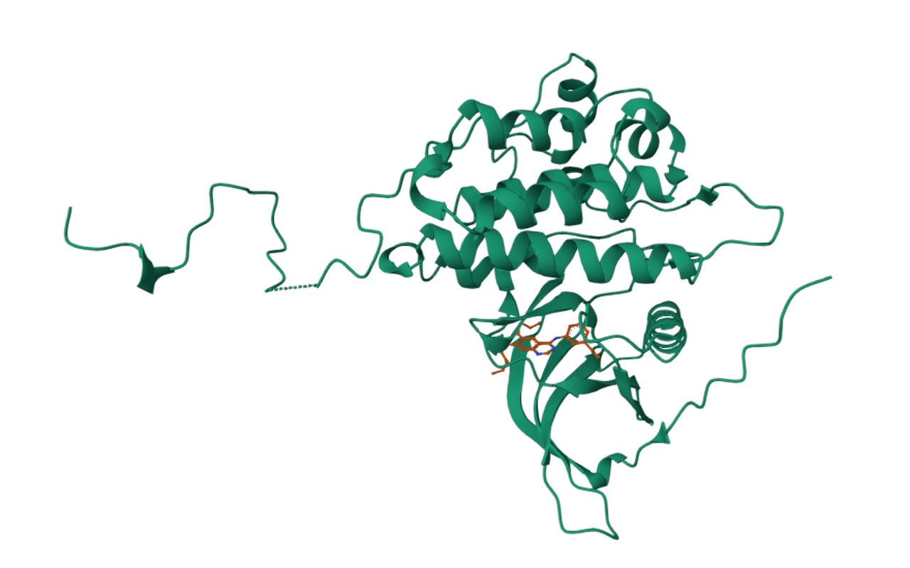 EGFR screening: top poses and clusters