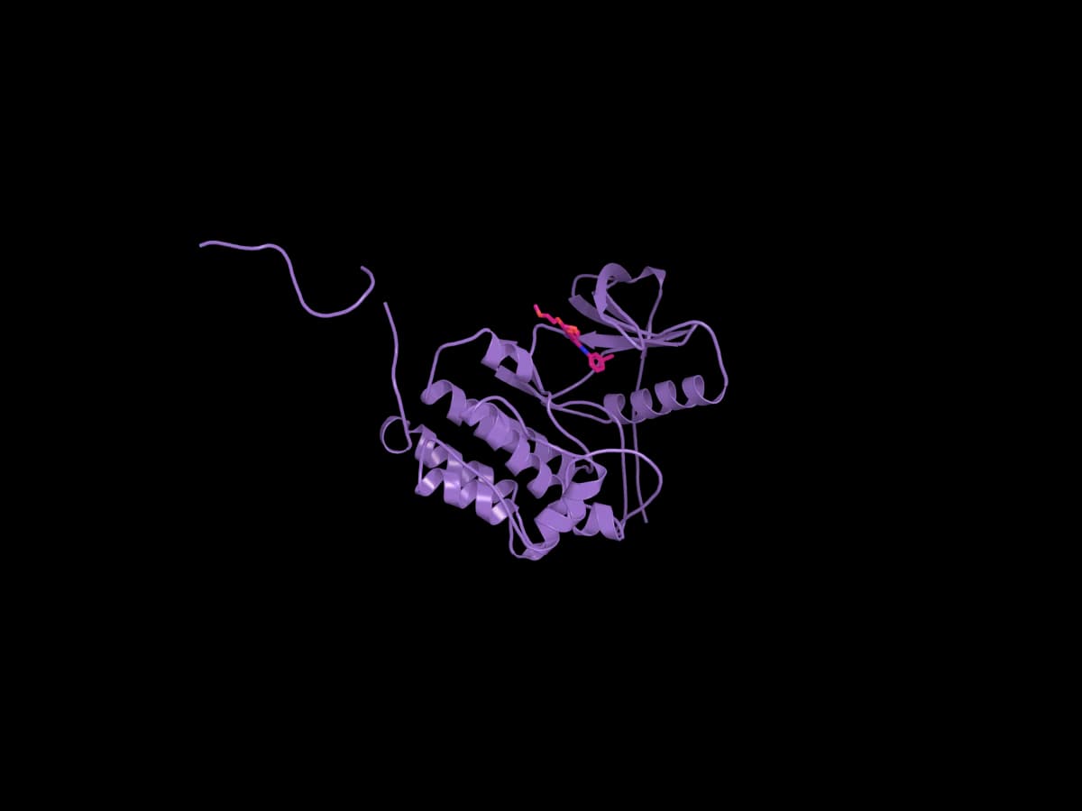 EGFR 수용체 구조(PDB 1M17)와 결합 포켓의 리간드 AQ4