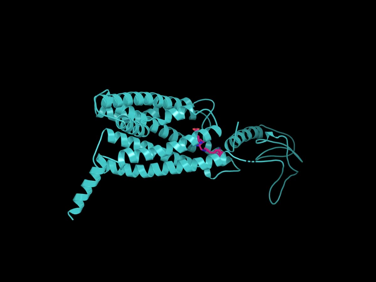 GLP1R receptor structure (PDB 6X1A) with the ligand UK4 in the binding pocket