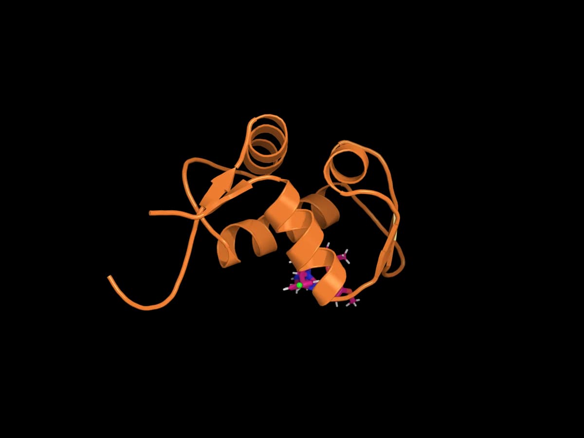 MDM2 수용체 구조(PDB 5C5A)와 결합 포켓의 리간드 NUT